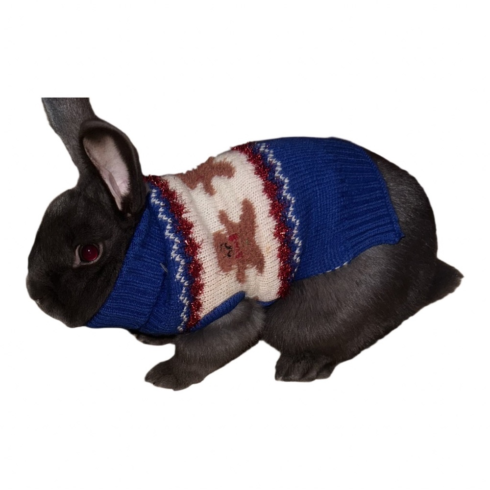 Holiday turtle neck sweater